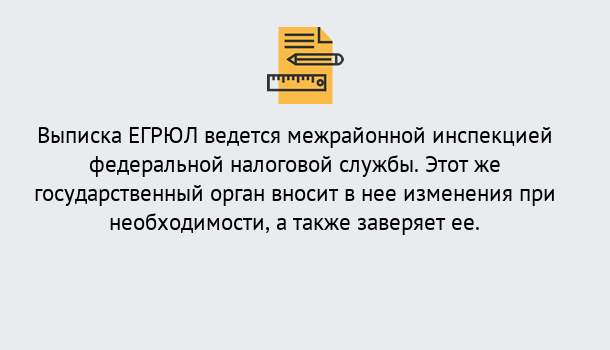 Почему нужно обратиться к нам? Котельники Выписка ЕГРЮЛ в Котельники ?