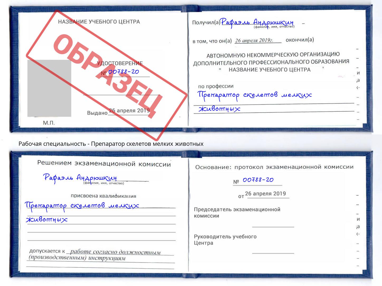 Препаратор скелетов мелких животных Котельники