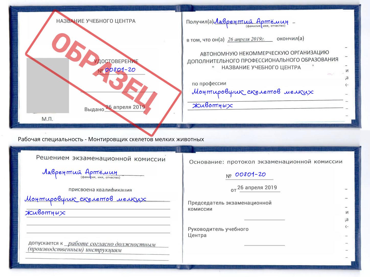 Монтировщик скелетов мелких животных Котельники
