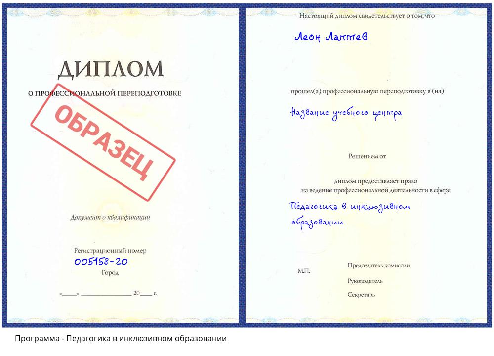 Педагогика в инклюзивном образовании Котельники