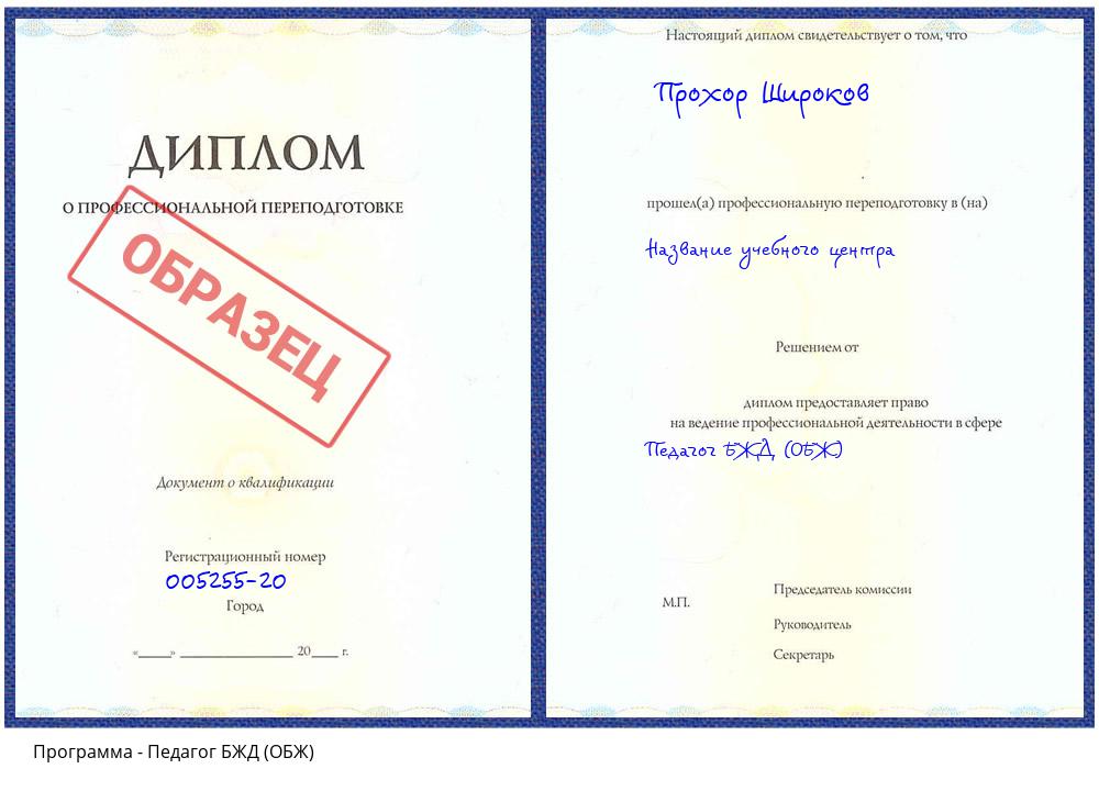 Педагог БЖД (ОБЖ) Котельники