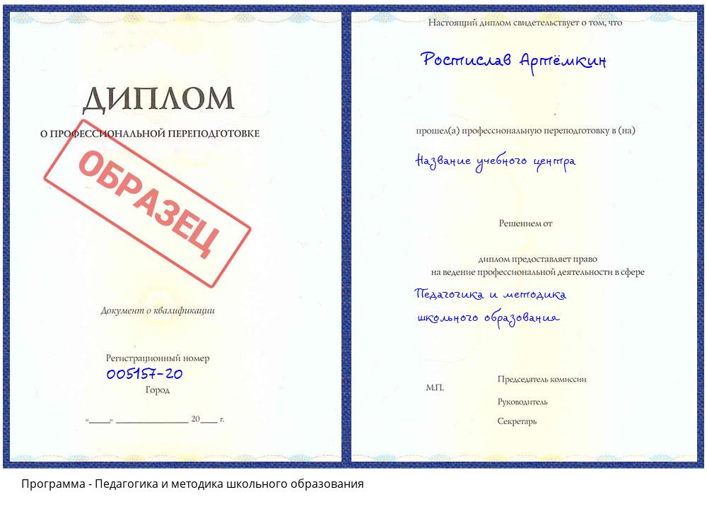 Педагогика и методика школьного образования Котельники