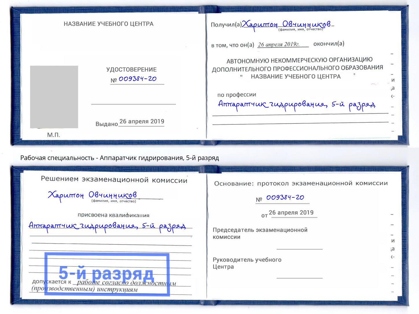 корочка 5-й разряд Аппаратчик гидрирования Котельники